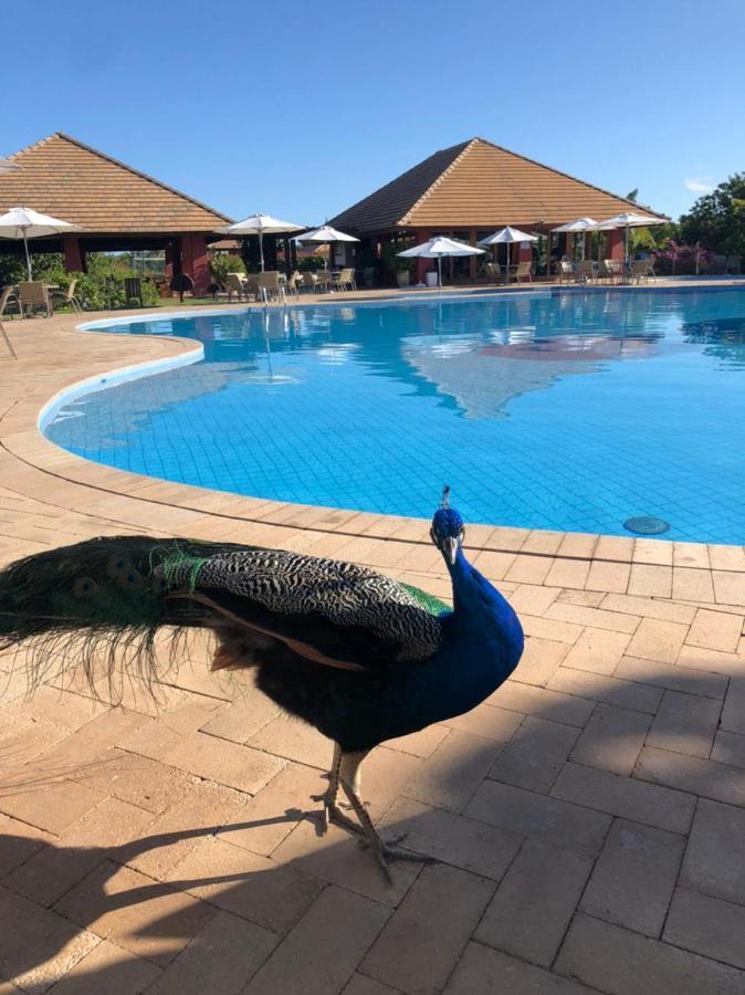 Praia Do Forte Village Das Acacias Екстериор снимка